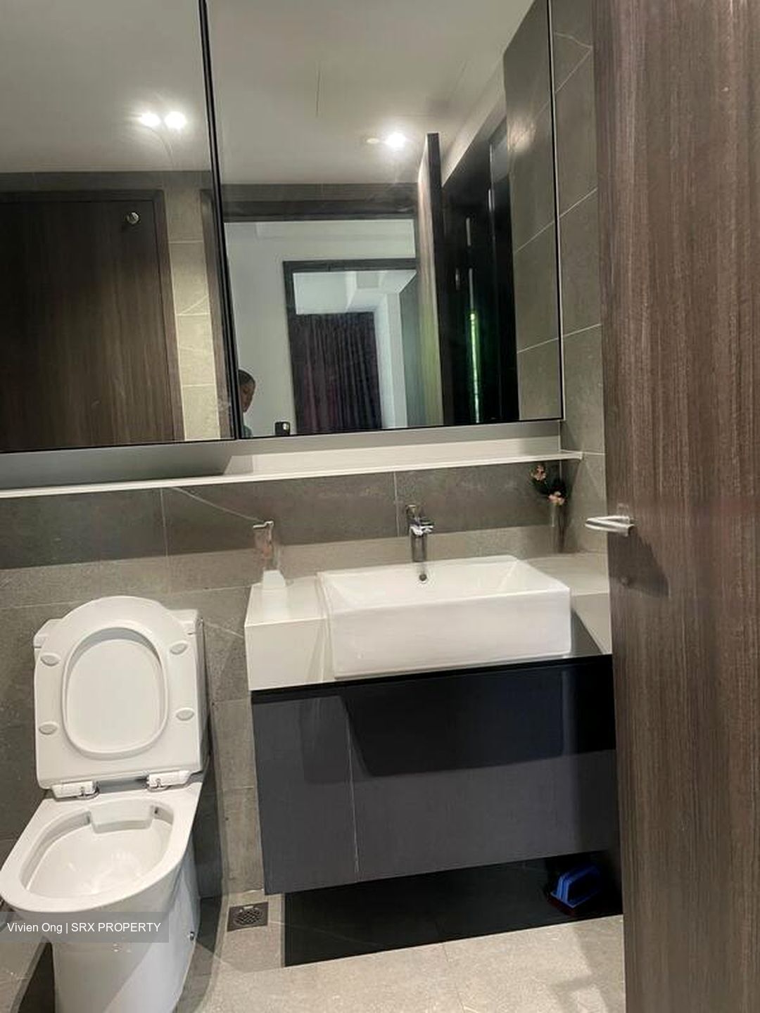 Riverfront Residences (D19), Apartment #451866371